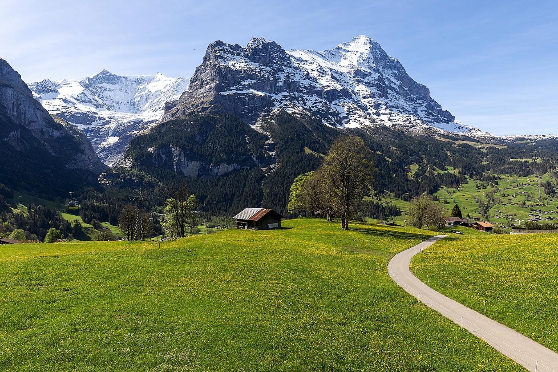 Hotel Bodmi Grindelwald Eksteriør bilde
