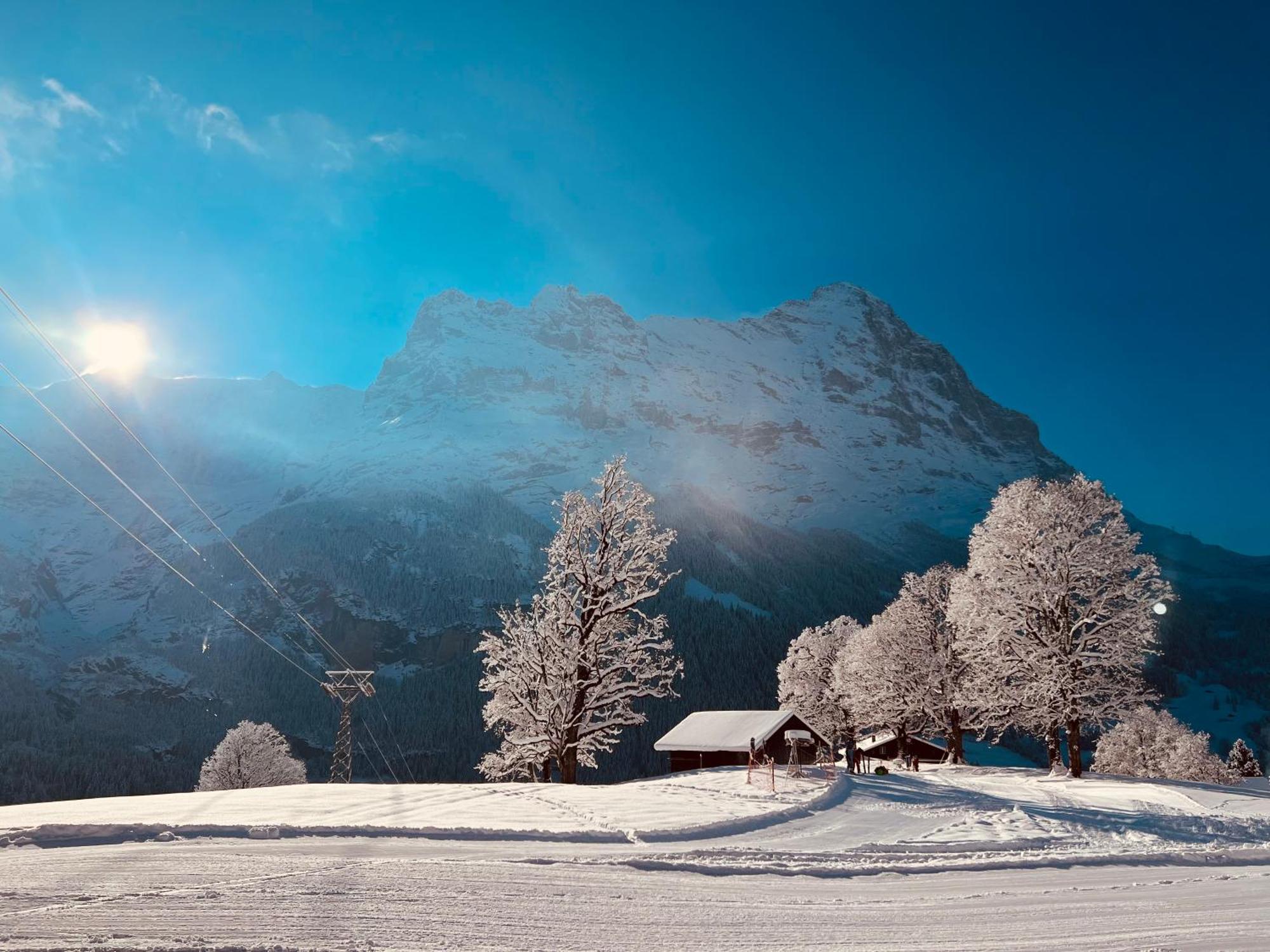 Hotel Bodmi Grindelwald Eksteriør bilde